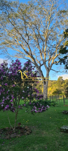 CHACARA EM SAPIRANHA 3,5 HECT: 12ª foto da galeria de imagens do imóvel