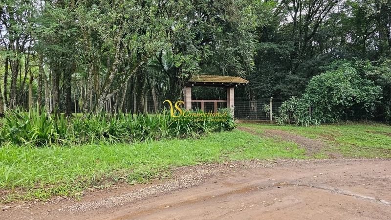 CHACARA EM SAPIRANHA 3,5 HECT: 8ª foto da galeria de imagens do imóvel