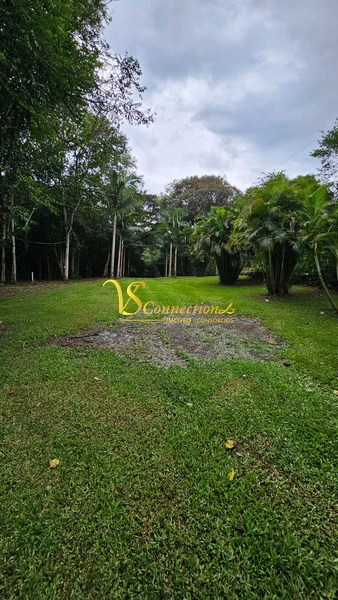 CHACARA EM SAPIRANHA 3,5 HECT: 14ª foto da galeria de imagens do imóvel