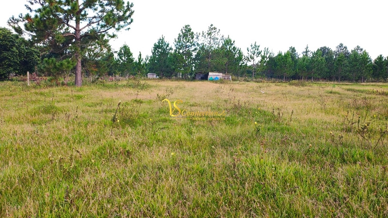 Chácara à venda no Palmital!!: 1ª foto da galeria de imagens do imóvel