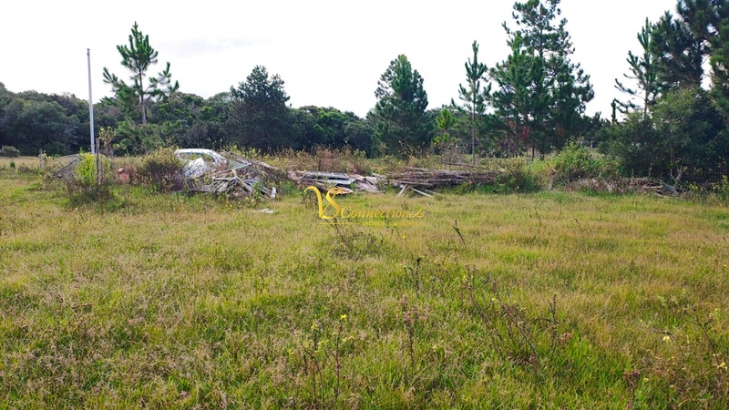 Chácara à venda no Palmital!!: 2ª foto da galeria de imagens do imóvel