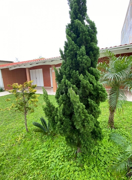 Casa à venda, próximo ao mar: 2ª foto da galeria de imagens do imóvel