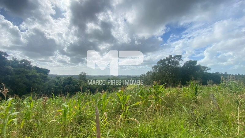 Terreno com 03 Hectares Bairro Oliveira: 5ª foto da galeria de imagens do imóvel