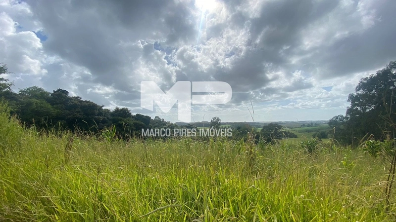 Terreno com 03 Hectares Bairro Oliveira: 6ª foto da galeria de imagens do imóvel