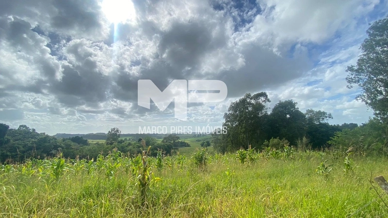 Terreno com 03 Hectares Bairro Oliveira: 8ª foto da galeria de imagens do imóvel