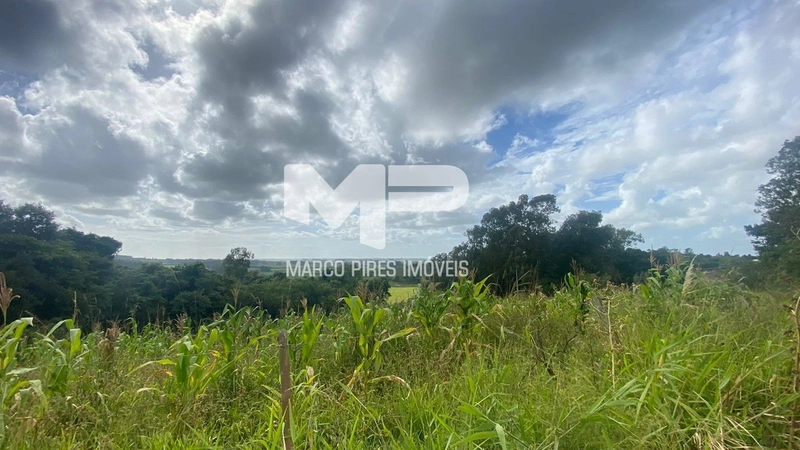 Terreno com 03 Hectares Bairro Oliveira: 3ª foto da galeria de imagens do imóvel