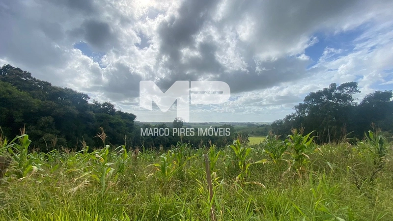 Terreno com 03 Hectares Bairro Oliveira: 2ª foto da galeria de imagens do imóvel