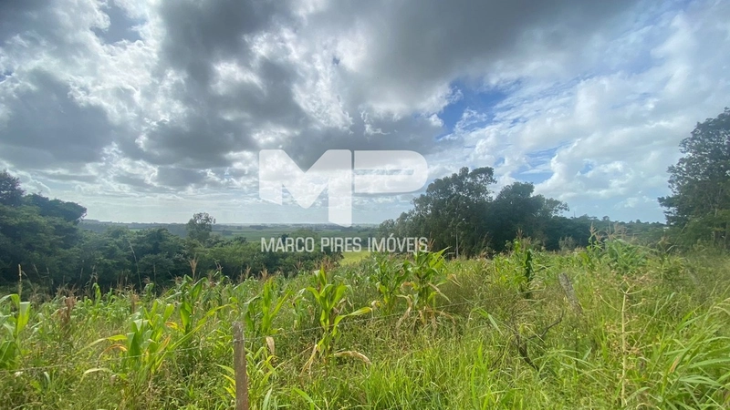 Terreno com 03 Hectares Bairro Oliveira: 4ª foto da galeria de imagens do imóvel