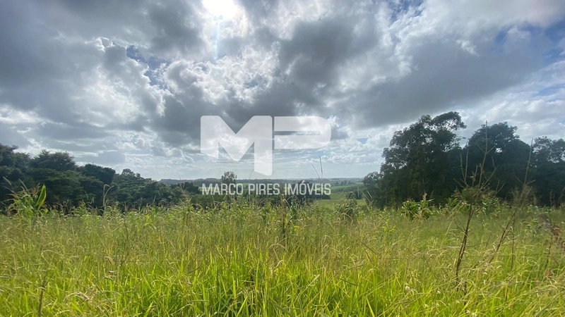 Terreno com 03 Hectares Bairro Oliveira: 7ª foto da galeria de imagens do imóvel
