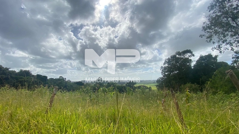 Terreno com 03 Hectares Bairro Oliveira: 9ª foto da galeria de imagens do imóvel