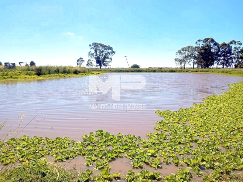 Chácara: 5ª foto da galeria de imagens do imóvel