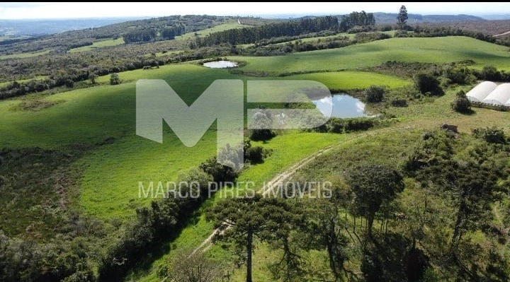 Área rural: 4ª foto da galeria de imagens do imóvel