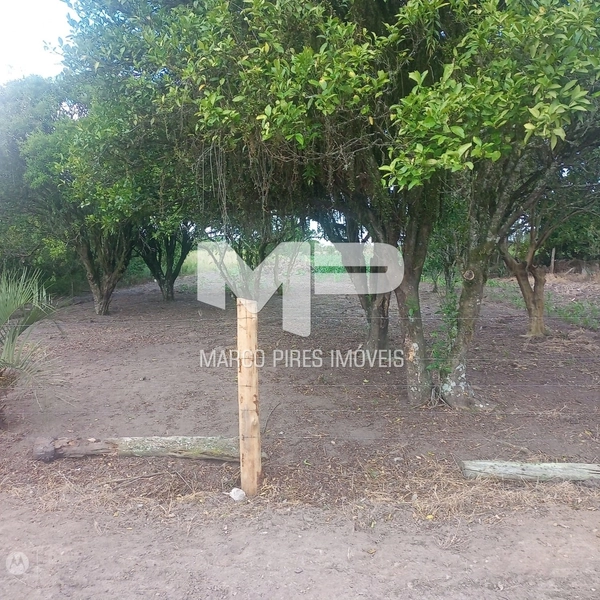 : 2ª foto da galeria de imagens do imóvel
