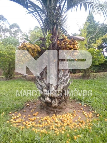 : 4ª foto da galeria de imagens do imóvel