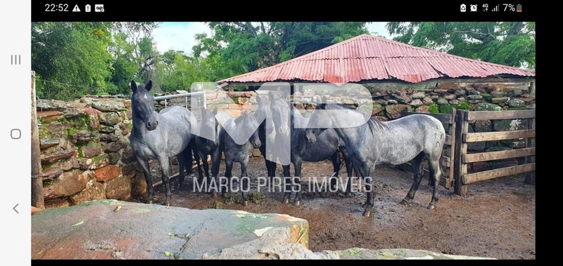 Área rural: 1ª foto da galeria de imagens do imóvel
