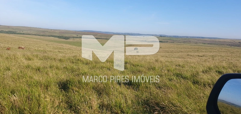 Área rural: 2ª foto da galeria de imagens do imóvel