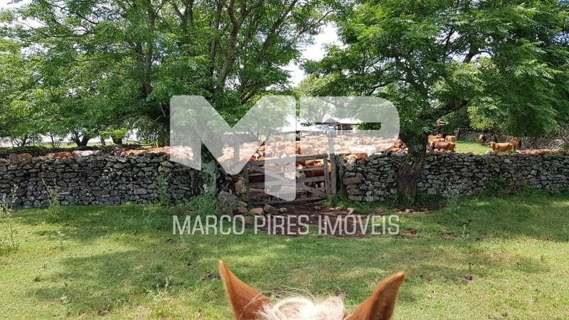 Área rural: 4ª foto da galeria de imagens do imóvel