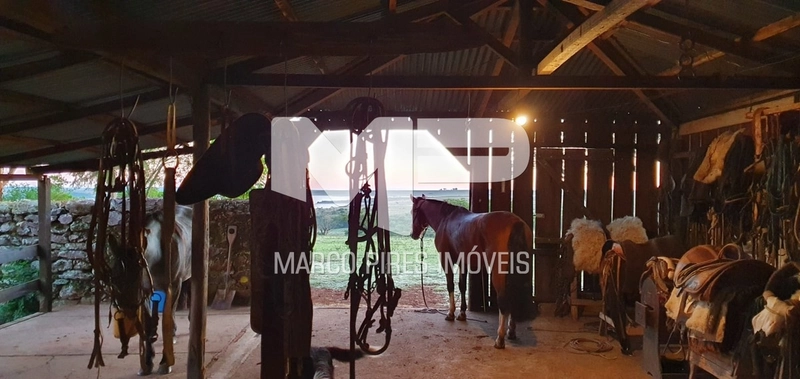 Área rural: 3ª foto da galeria de imagens do imóvel