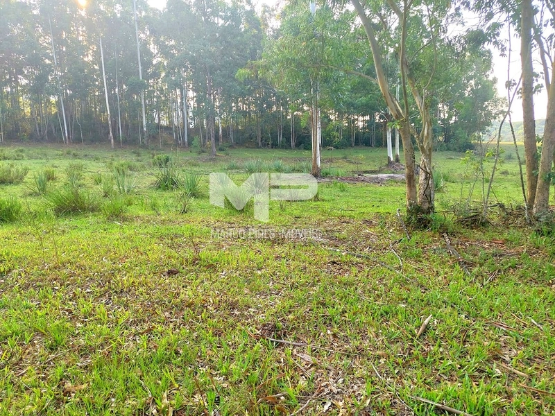 Área rural: 8ª foto da galeria de imagens do imóvel