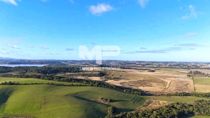 Área Rural: 7ª foto da galeria de imagens do imóvel