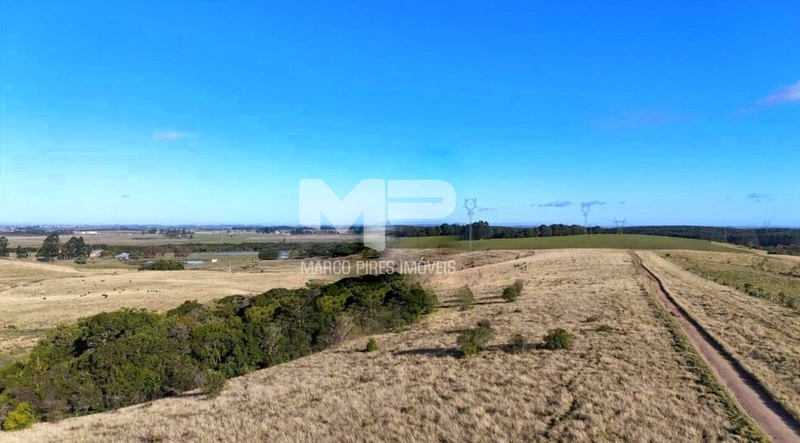 Área Rural: 5ª foto da galeria de imagens do imóvel