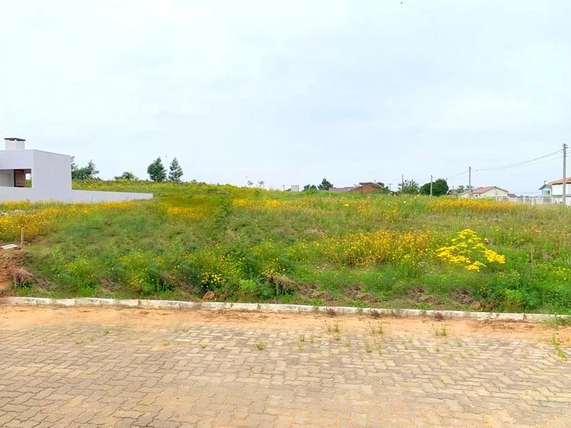 Terreno meio de quadra: 1ª foto da galeria de imagens do imóvel