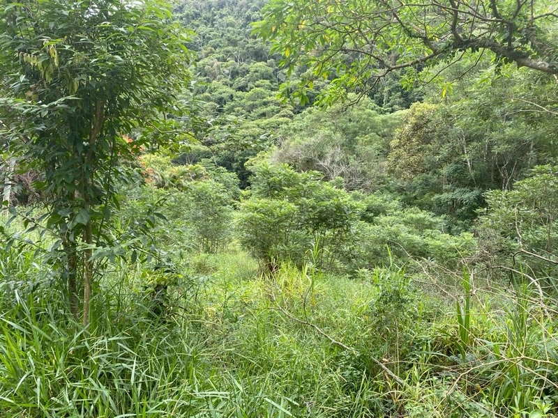 CONDOMÍNIO VALE DA BOA ESPERANÇA: 4ª foto da galeria de imagens do imóvel