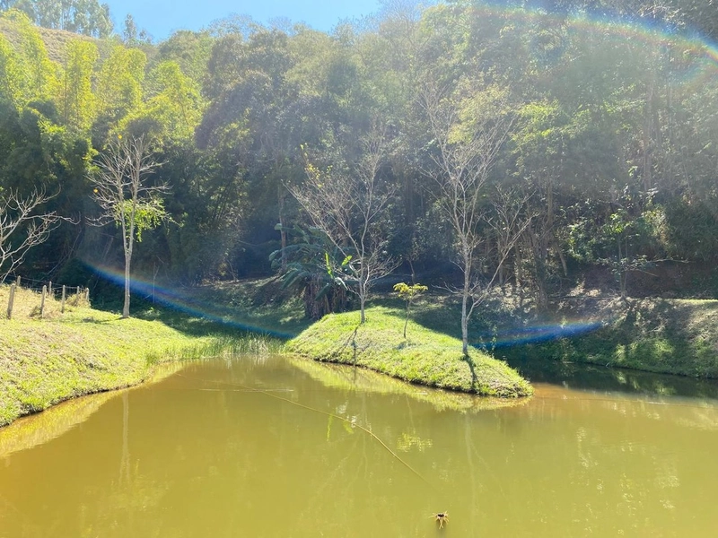 TERRENO SARDOAL: 1ª foto da galeria de imagens do imóvel