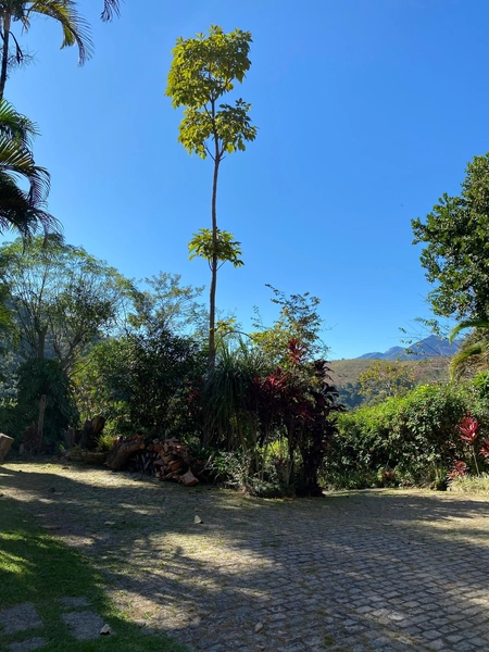 CASA ESTILO CHALÉ EM ITAIPAVA!: 5ª foto da galeria de imagens do imóvel