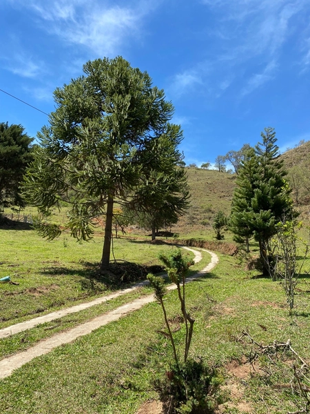 SITIO EM PATY DO ALFERES: 5ª foto da galeria de imagens do imóvel