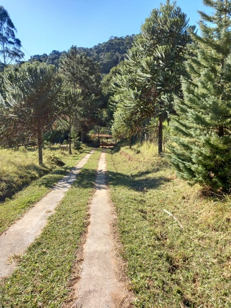 SITIO EM PATY DO ALFERES: 4ª foto da galeria de imagens do imóvel