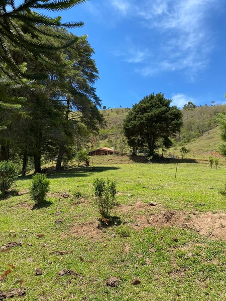 SITIO EM PATY DO ALFERES: 7ª foto da galeria de imagens do imóvel