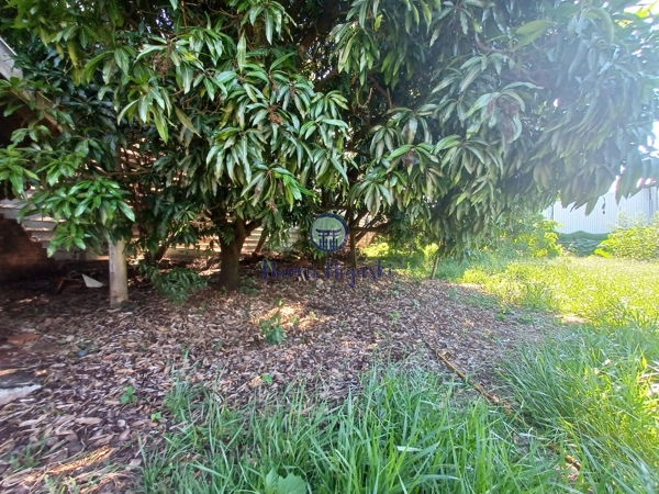 Comercial Cilo 3: 2ª foto da galeria de imagens do imóvel