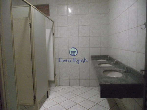 Comercial Cilo 3: 14ª foto da galeria de imagens do imóvel
