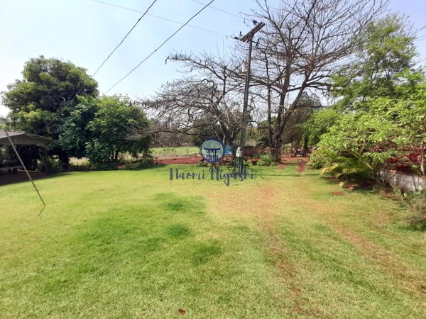 Rural Jardim Primavera: 8ª foto da galeria de imagens do imóvel