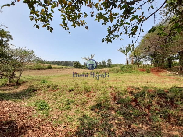 Rural Jardim Primavera: 2ª foto da galeria de imagens do imóvel