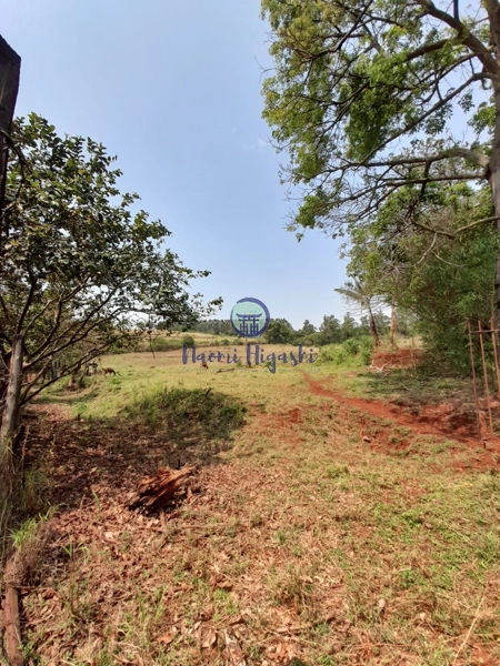 Rural Jardim Primavera: 4ª foto da galeria de imagens do imóvel