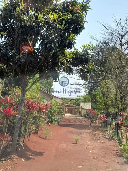 Rural Jardim Primavera: 12ª foto da galeria de imagens do imóvel