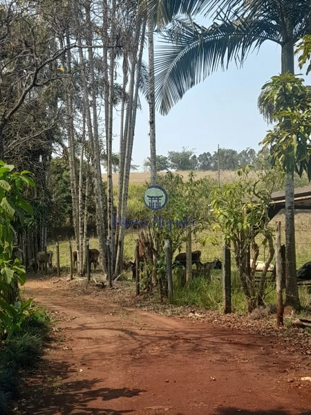 Rural Jardim Primavera: 1ª foto da galeria de imagens do imóvel