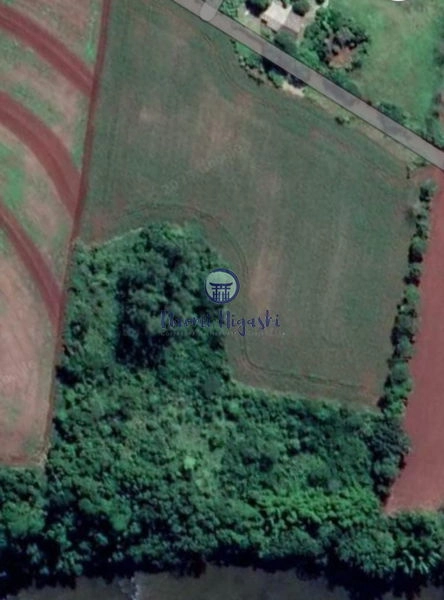 Rural Limoeiro: 1ª foto da galeria de imagens do imóvel