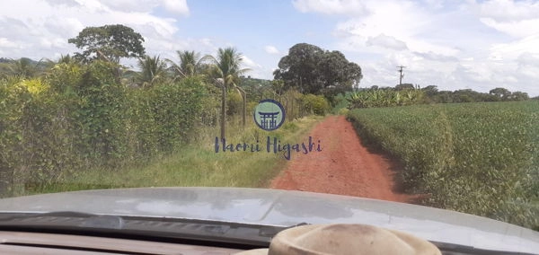Rural Limoeiro: 2ª foto da galeria de imagens do imóvel