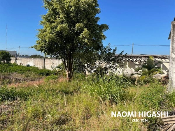 Terreno Rodocentro: 9ª foto da galeria de imagens do imóvel