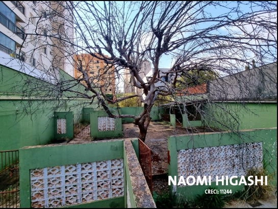 Terreno Hedy: 16ª foto da galeria de imagens do imóvel
