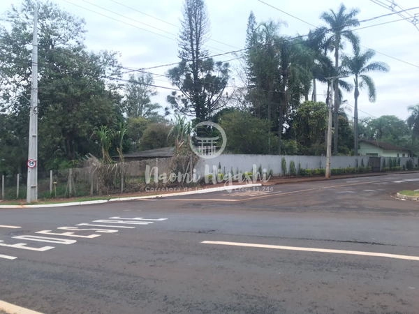 Terreno Nikko: 2ª foto da galeria de imagens do imóvel