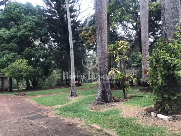 Terreno Nikko: 8ª foto da galeria de imagens do imóvel
