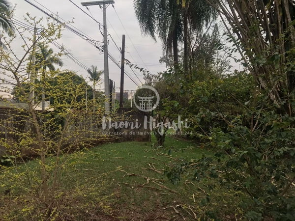 Terreno Nikko: 7ª foto da galeria de imagens do imóvel