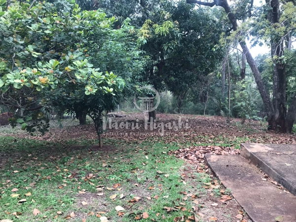 Terreno Nikko: 3ª foto da galeria de imagens do imóvel