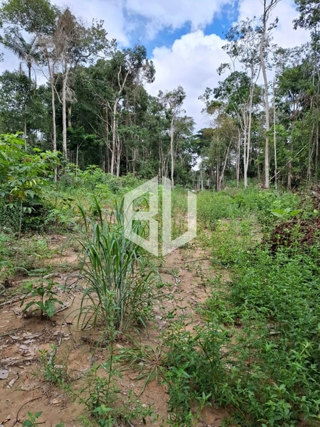 : 6ª foto da galeria de imagens do imóvel