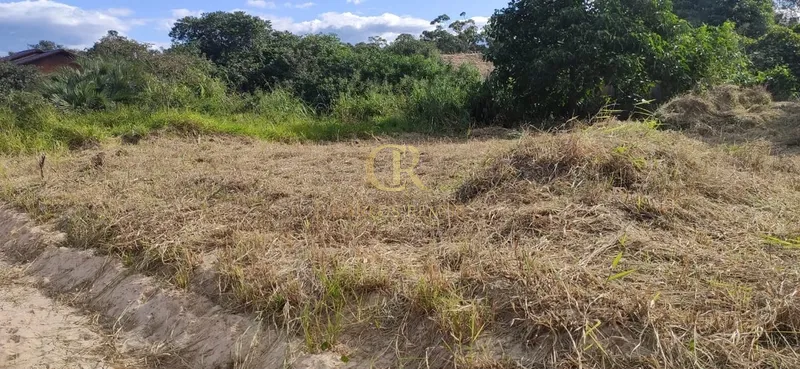Terreno Escriturado no Bairro Mato Alto: 3ª foto da galeria de imagens do imóvel