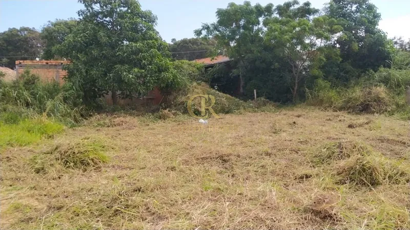 Terreno Escriturado no Bairro Mato Alto: 8ª foto da galeria de imagens do imóvel